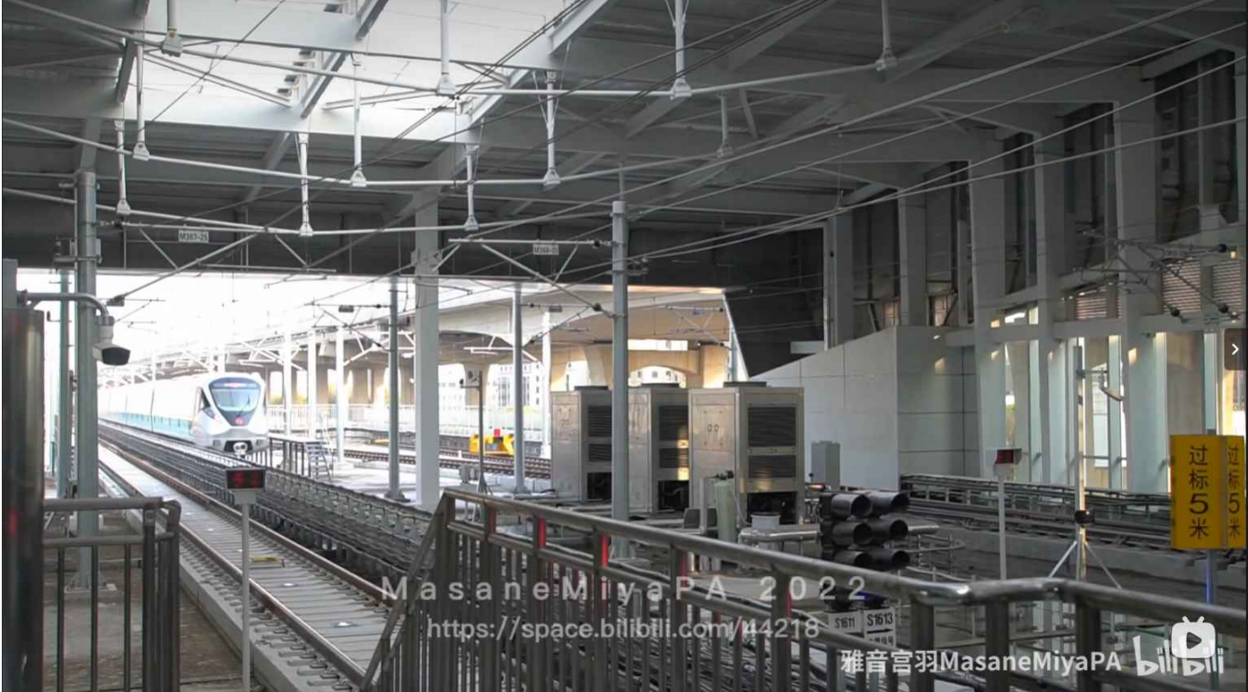 image-20240617215211528