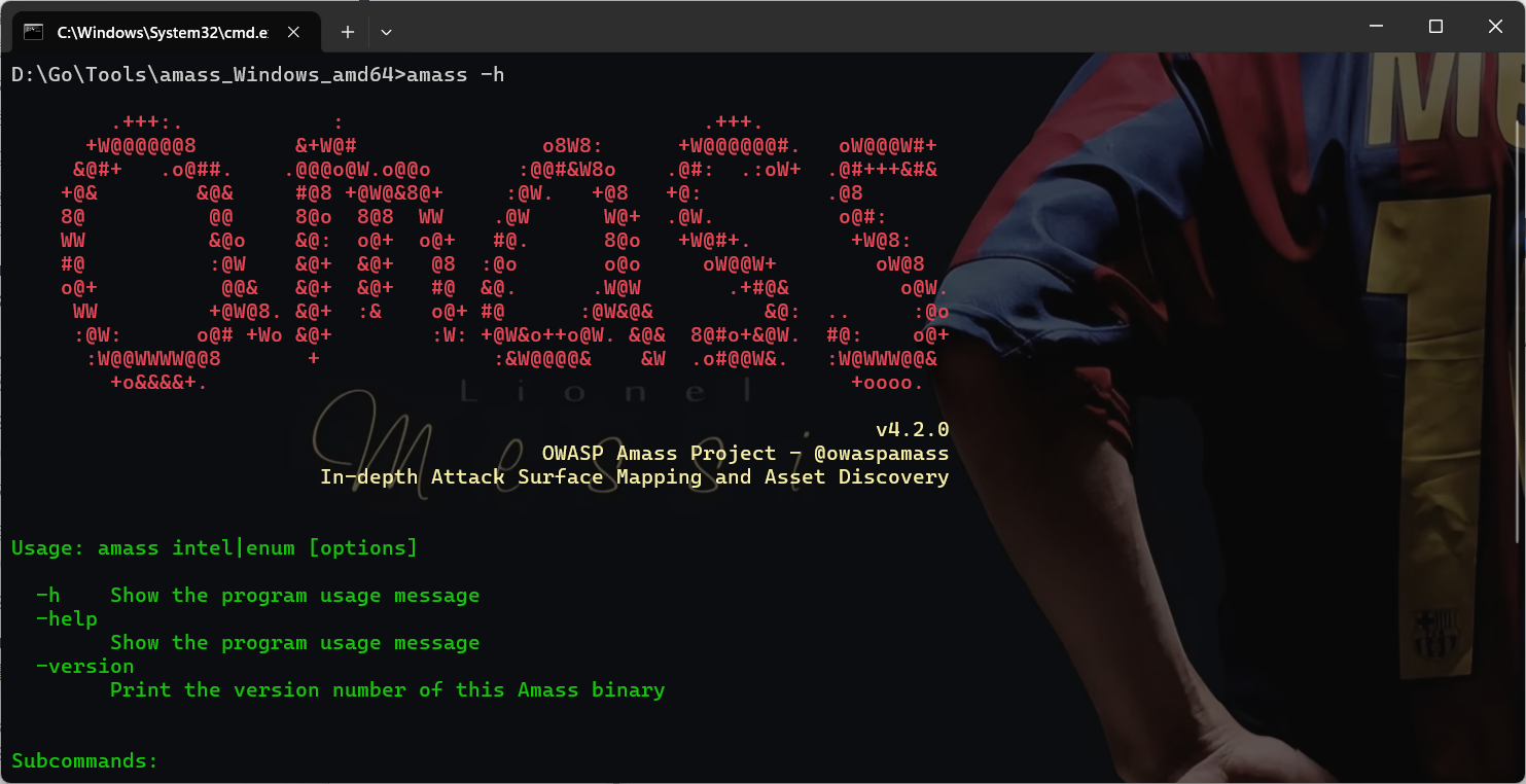 image-20240704160647398