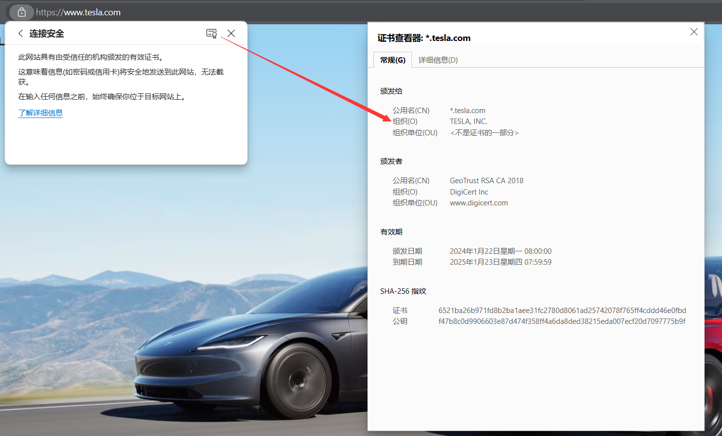 image-20240707184441892