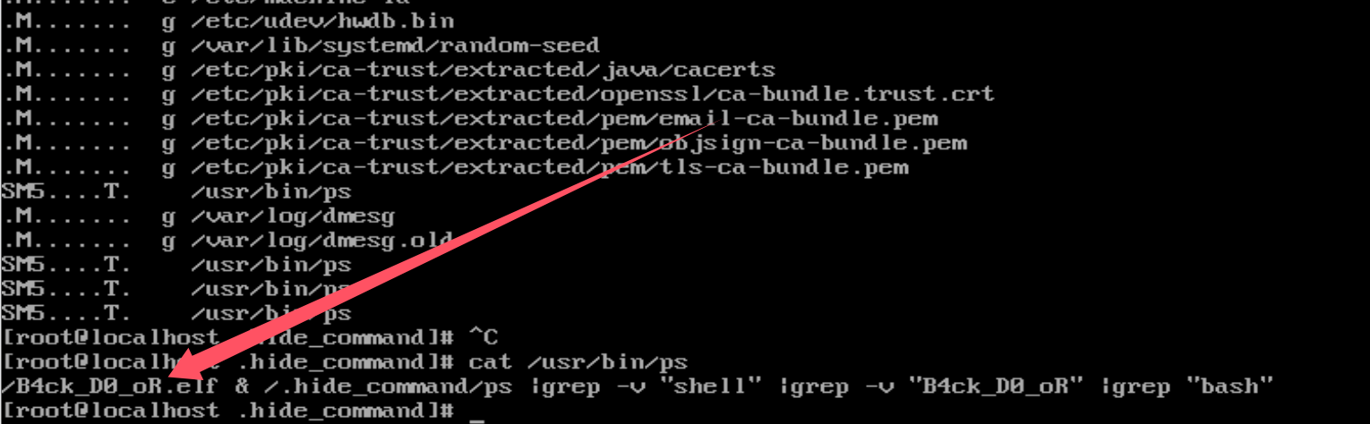 image-20250308161826095